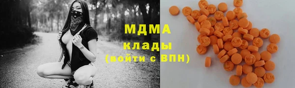 дмт Богданович